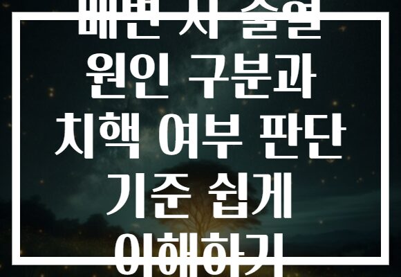 배변 시 출혈 원인 구분과 치핵 여부 판단 기준 쉽게 이해하기