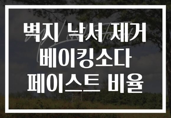 벽지 낙서 제거 베이킹소다 페이스트 비율