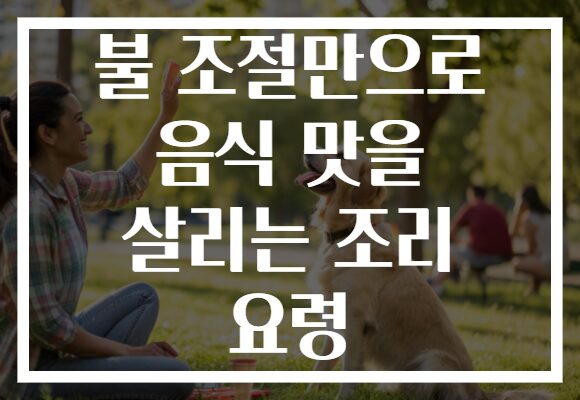 불 조절만으로 음식 맛을 살리는 조리 요령