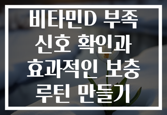 비타민D 부족 신호 확인과 효과적인 보충 루틴 만들기