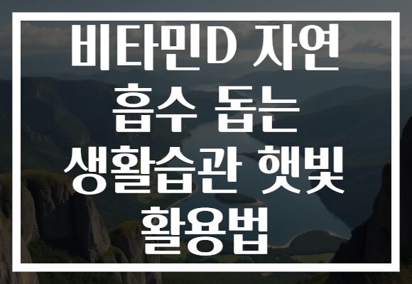비타민D 자연 흡수 돕는 생활습관 햇빛 활용법