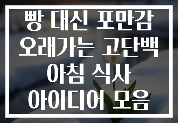 빵 대신 포만감 오래가는 고단백 아침 식사 아이디어 모음
