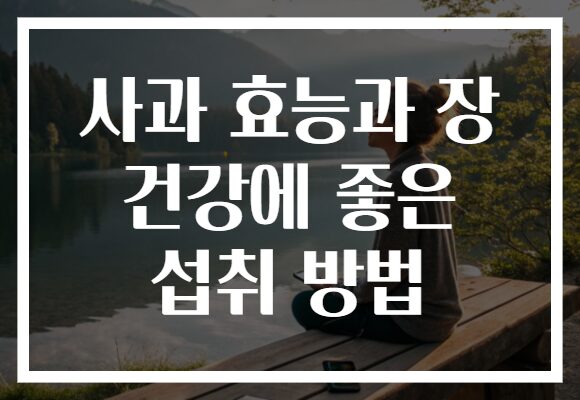 사과 효능과 장 건강에 좋은 섭취 방법