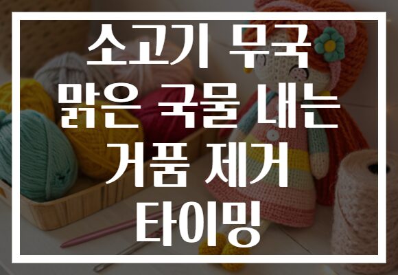 소고기 무국 맑은 국물 내는 거품 제거 타이밍