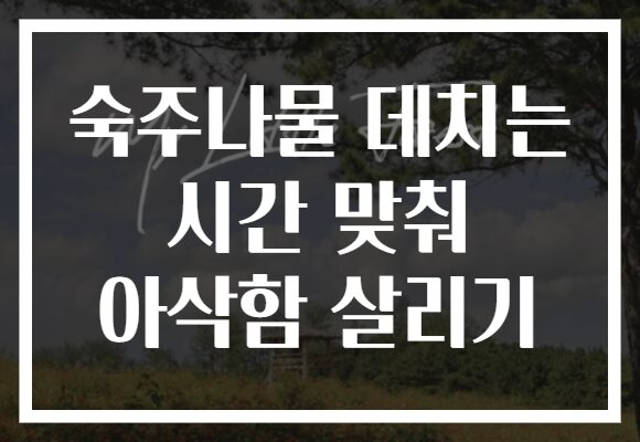 숙주나물 데치는 시간 맞춰 아삭함 살리기