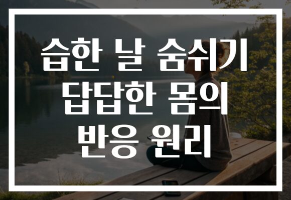 습한 날 숨쉬기 답답한 몸의 반응 원리