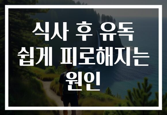 식사 후 유독 쉽게 피로해지는 원인