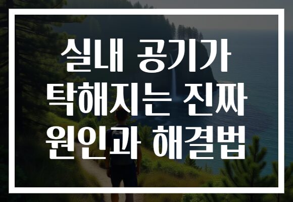 실내 공기가 탁해지는 진짜 원인과 해결법