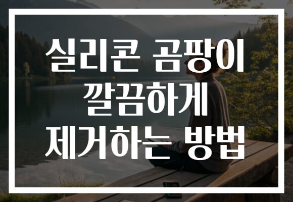 실리콘 곰팡이 깔끔하게 제거하는 방법