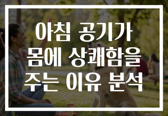 아침 공기가 몸에 상쾌함을 주는 이유 분석