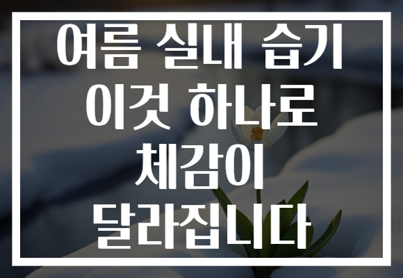 여름 실내 습기 이것 하나로 체감이 달라집니다