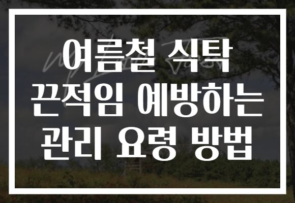 여름철 식탁 끈적임 예방하는 관리 요령 방법