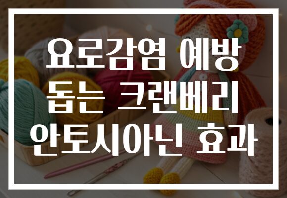 요로감염 예방 돕는 크랜베리 안토시아닌 효과
