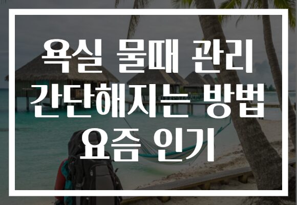 욕실 물때 관리 간단해지는 방법 요즘 인기