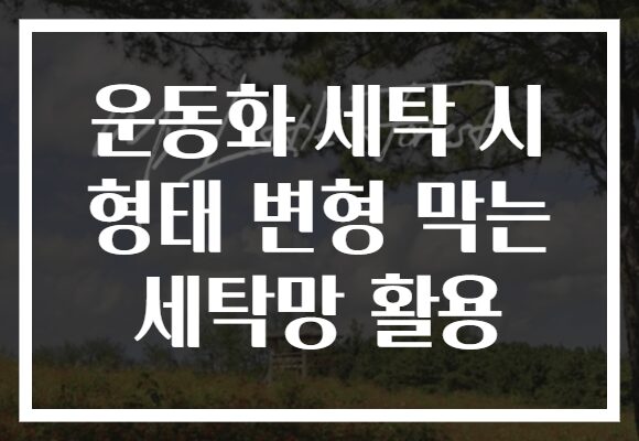 운동화 세탁 시 형태 변형 막는 세탁망 활용