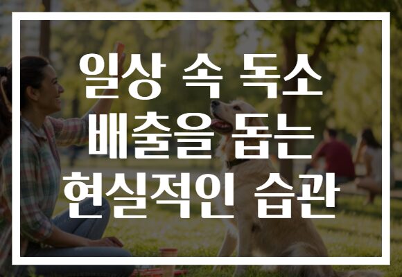 일상 속 독소 배출을 돕는 현실적인 습관
