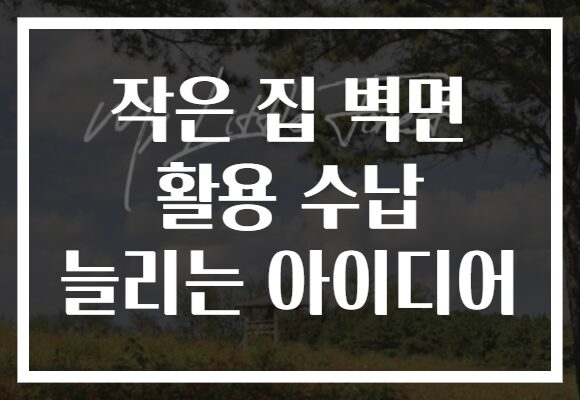 작은 집 벽면 활용 수납 늘리는 아이디어