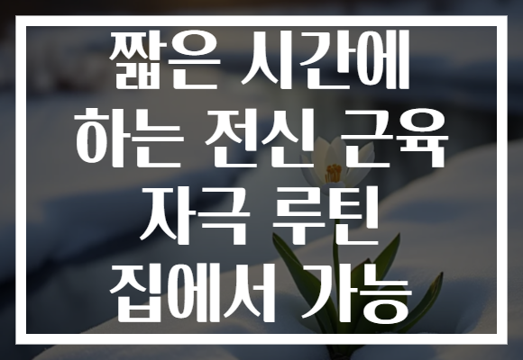 짧은 시간에 하는 전신 근육 자극 루틴 집에서 가능