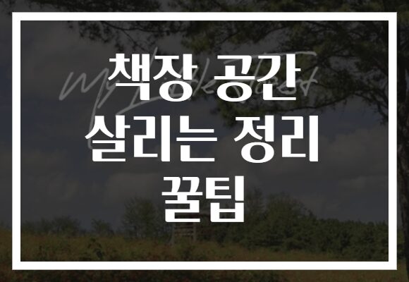 책장 공간 살리는 정리 꿀팁