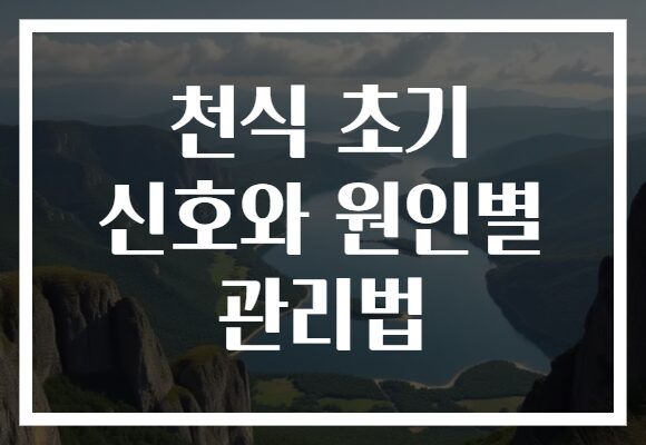천식 초기 신호와 원인별 관리법