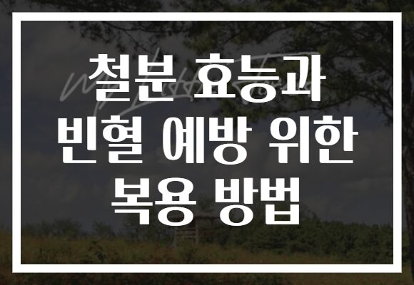 철분 효능과 빈혈 예방 위한 복용 방법