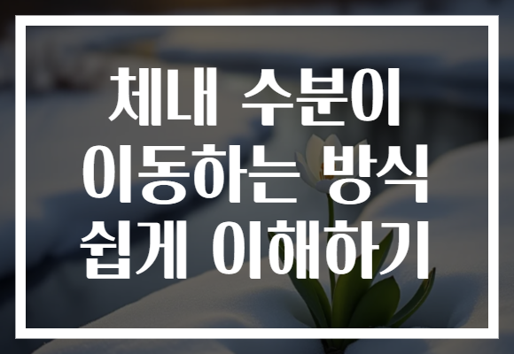 체내 수분이 이동하는 방식 쉽게 이해하기