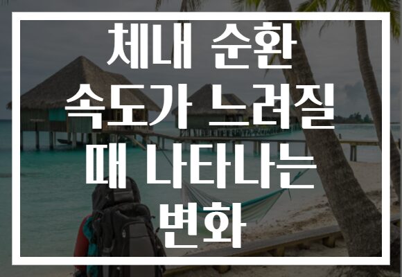 체내 순환 속도가 느려질 때 나타나는 변화