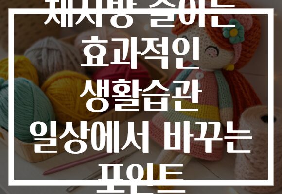 체지방 줄이는 효과적인 생활습관 일상에서 바꾸는 포인트