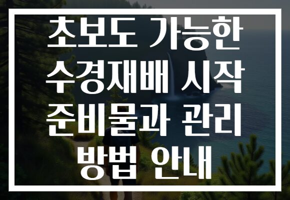 초보도 가능한 수경재배 시작 준비물과 관리 방법 안내