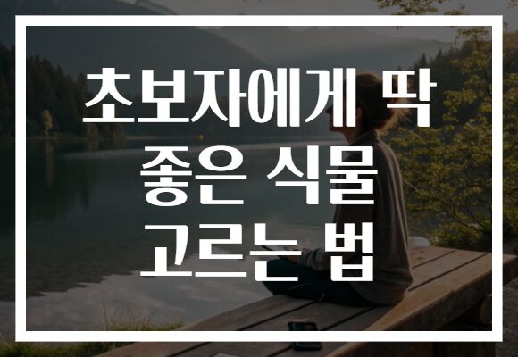 초보자에게 딱 좋은 식물 고르는 법