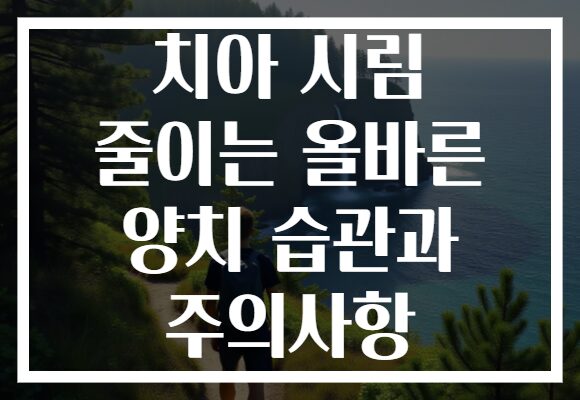 치아 시림 줄이는 올바른 양치 습관과 주의사항