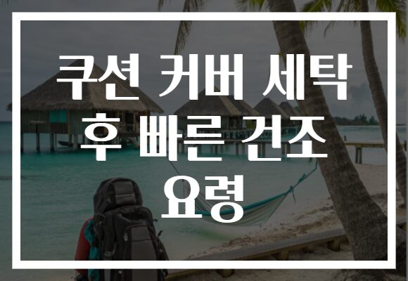 쿠션 커버 세탁 후 빠른 건조 요령