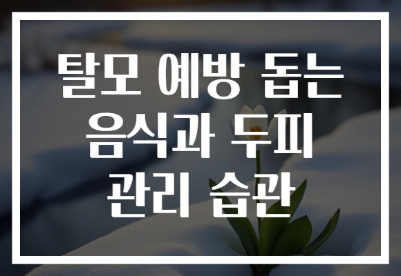 탈모 예방 돕는 음식과 두피 관리 습관