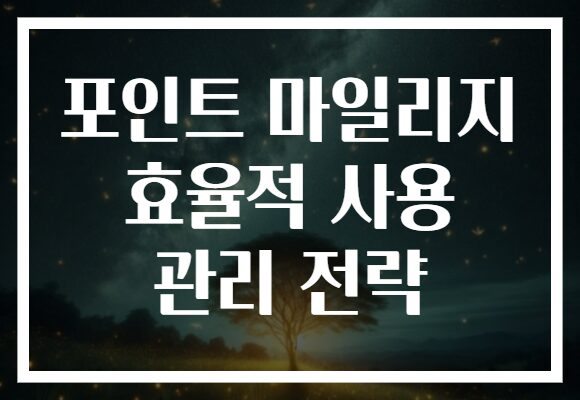 포인트 마일리지 효율적 사용 관리 전략