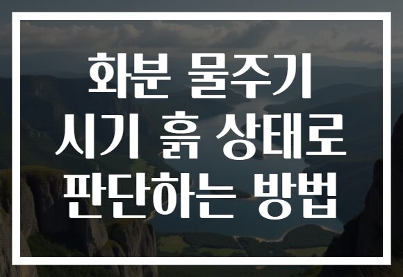화분 물주기 시기 흙 상태로 판단하는 방법
