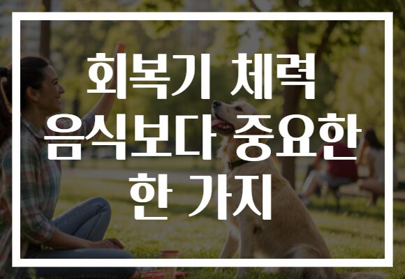 회복기 체력 음식보다 중요한 한 가지