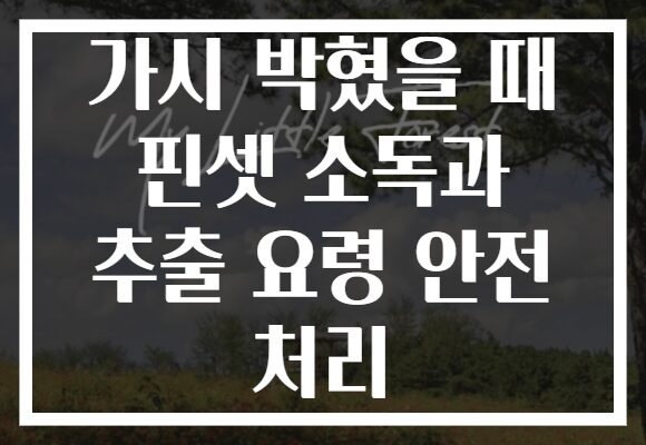 가시 박혔을 때 핀셋 소독과 추출 요령 안전 처리