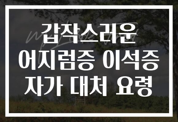 갑작스러운 어지럼증 이석증 자가 대처 요령