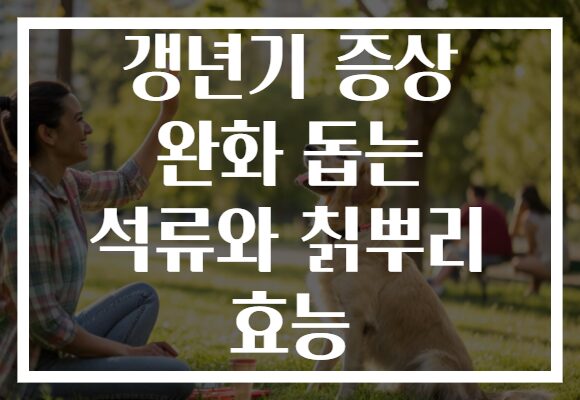 갱년기 증상 완화 돕는 석류와 칡뿌리 효능