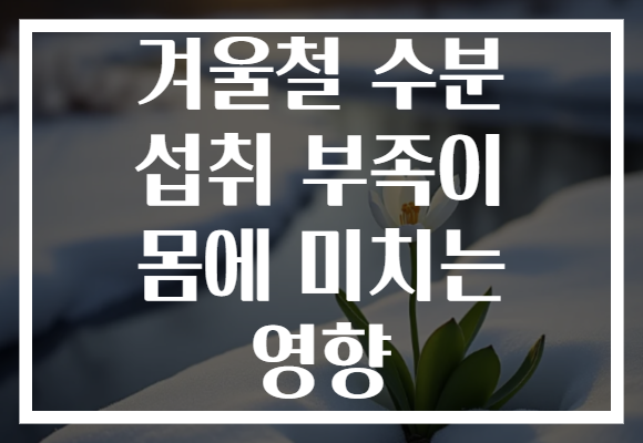 겨울철 수분 섭취 부족이 몸에 미치는 영향