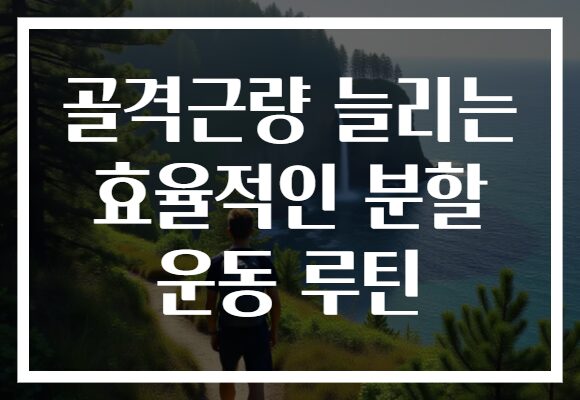 골격근량 늘리는 효율적인 분할 운동 루틴