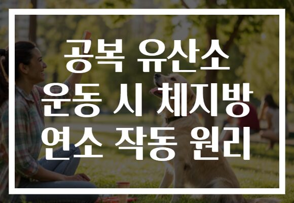 공복 유산소 운동 시 체지방 연소 작동 원리