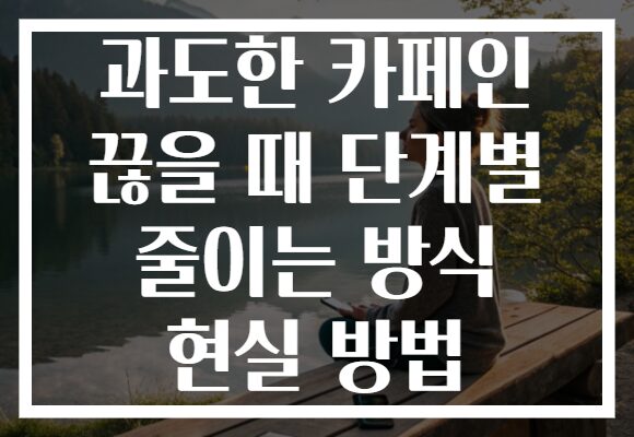 과도한 카페인 끊을 때 단계별 줄이는 방식 현실 방법