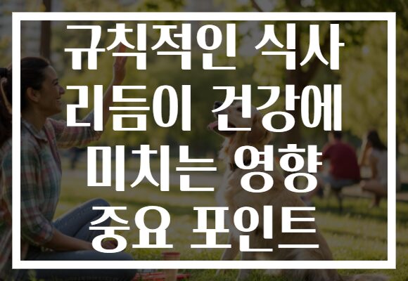 규칙적인 식사 리듬이 건강에 미치는 영향 중요 포인트
