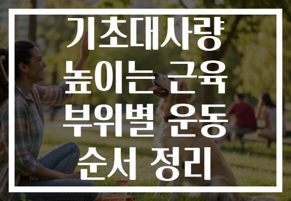 기초대사량 높이는 근육 부위별 운동 순서 정리