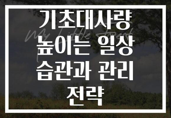 기초대사량 높이는 일상 습관과 관리 전략