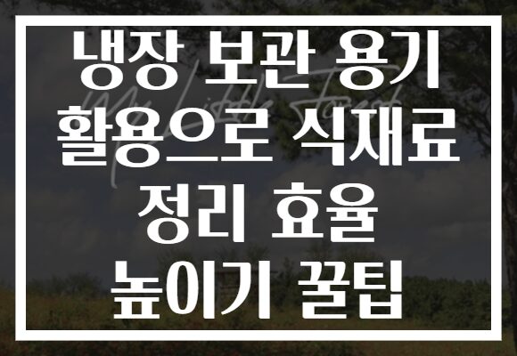 냉장 보관 용기 활용으로 식재료 정리 효율 높이기 꿀팁