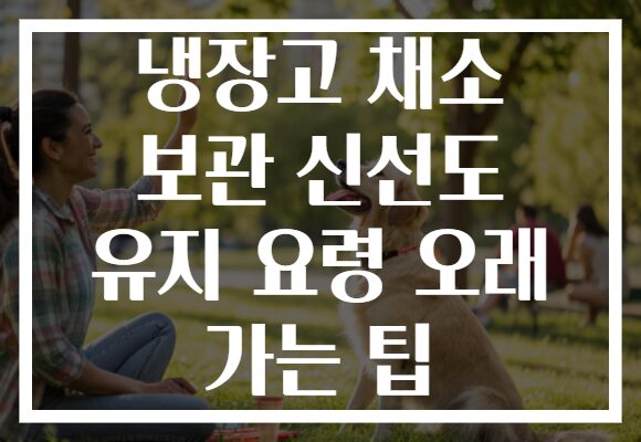 냉장고 채소 보관 신선도 유지 요령 오래 가는 팁