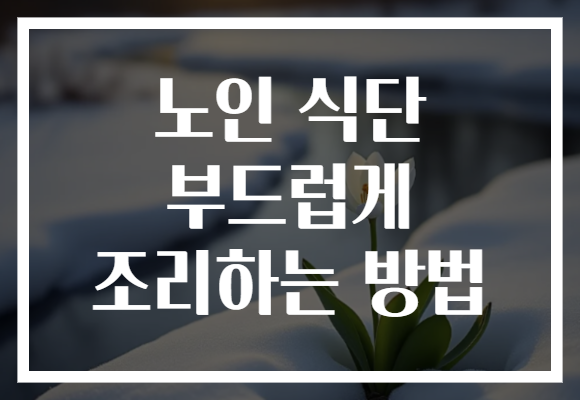 노인 식단 부드럽게 조리하는 방법