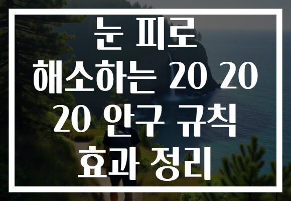 눈 피로 해소하는 20 20 20 안구 규칙 효과 정리